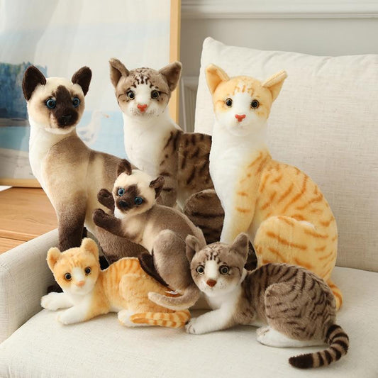 Cat plush toy