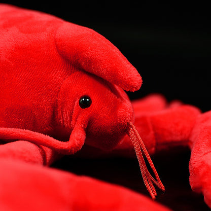 Close-up of a red plush worm toy on a black background