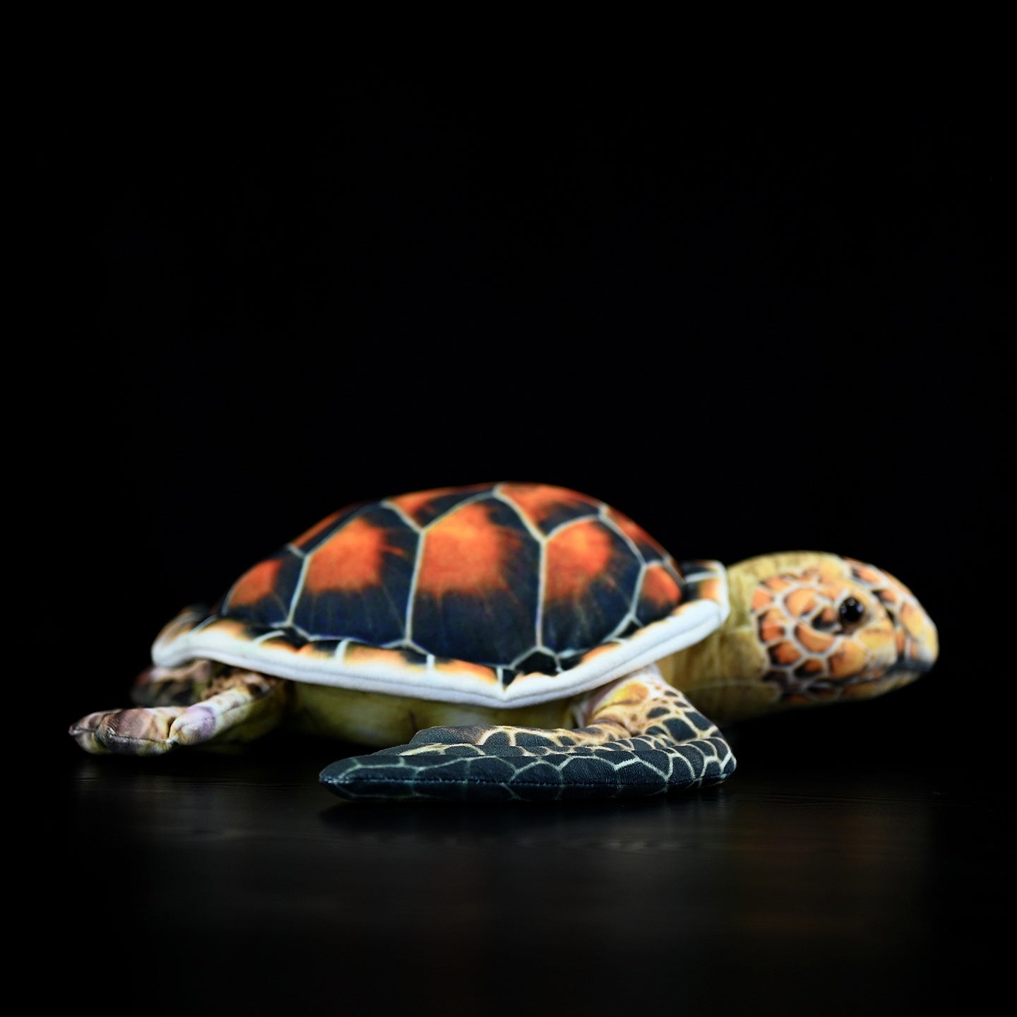 Turtle plush toy