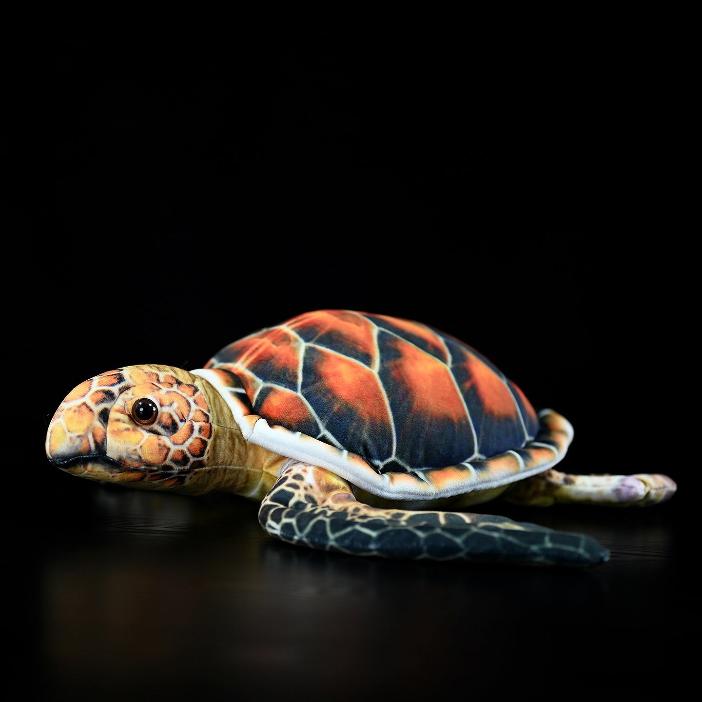 Turtle plush toy