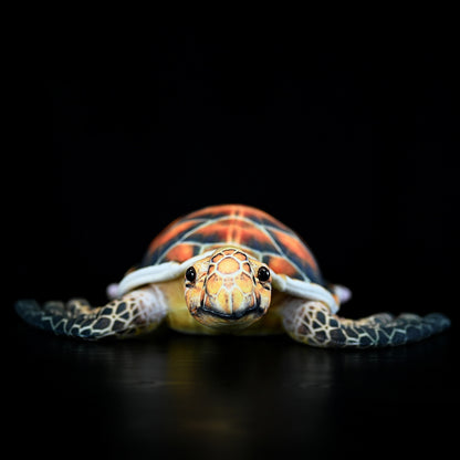 Turtle plush toy