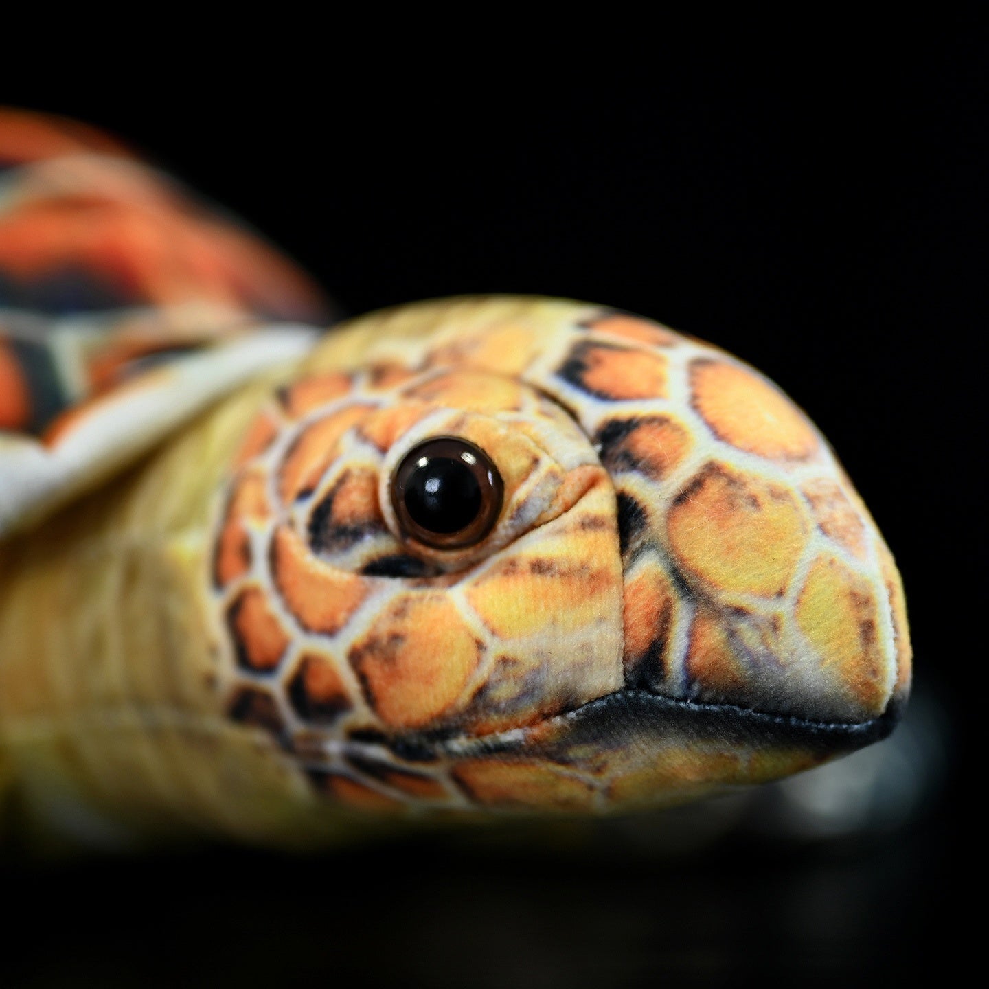 Turtle plush toy