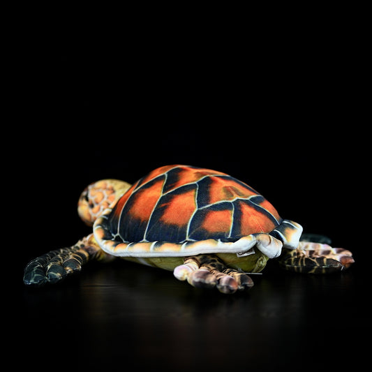 Turtle plush toy