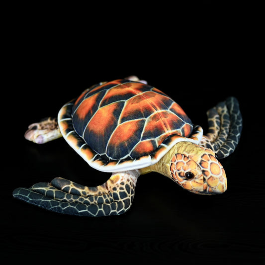 Turtle plush toy
