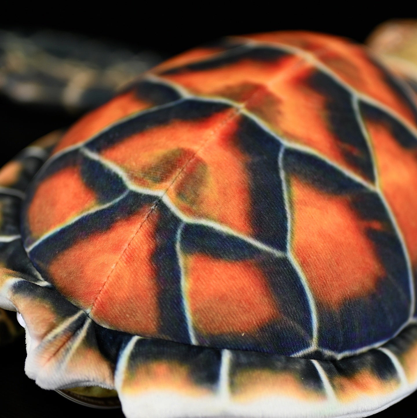 Turtle plush toy
