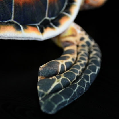 Turtle plush toy
